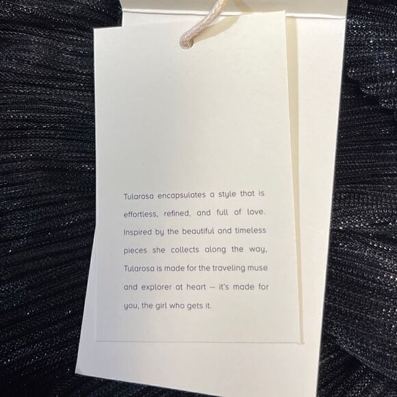 Tularosa Black‎ Sheer Ruffle Mini Dress Boho Romantic Long Sleeve Small NWT - Picture 8 of 12